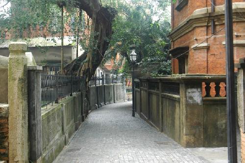 ��ϵ����������