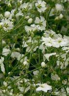 �������ǰ����Щ������...����