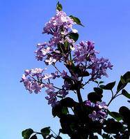 �������ǰ����Щ������...����