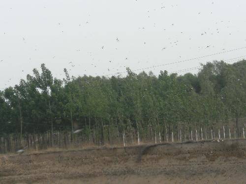 �ƺ�̲��������