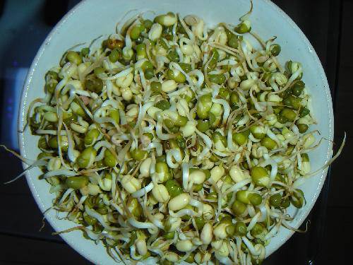 �۲�ƶ���ѿ���̵��ռ�����