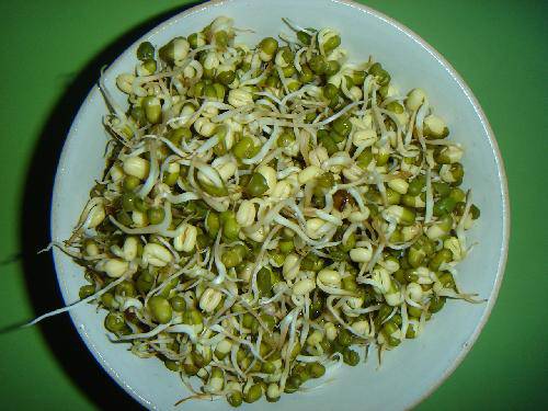 �۲�ƶ���ѿ���̵��ռ�����