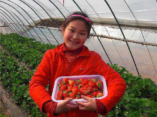 ����ժ��ݮ����