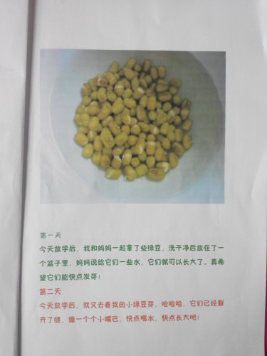 ����֮�ϡ�ͼ���顪�����ӷ�ѿ������