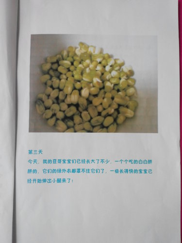 ����֮�ϡ�ͼ���顪�����ӷ�ѿ������