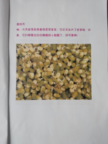 ����֮�ϡ�ͼ���顪�����ӷ�ѿ������