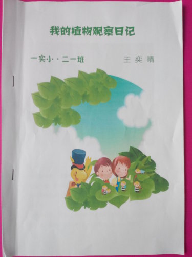 ����֮�ϡ�ͼ���顪�����ӷ�ѿ������