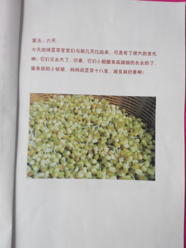 ����֮�ϡ�ͼ���顪�����ӷ�ѿ������