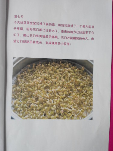 ����֮�ϡ�ͼ���顪�����ӷ�ѿ������