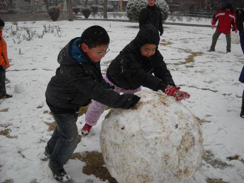 ��ѩ��������