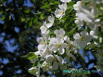 ����ҵļ�������