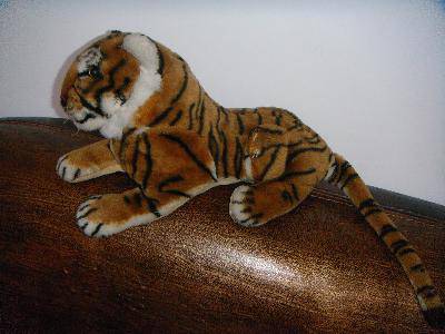 ��ϲ���ġ����������������