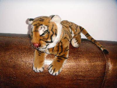 ��ϲ���ġ����������������