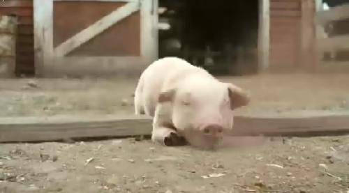 ������漣 �����ۡ��������������