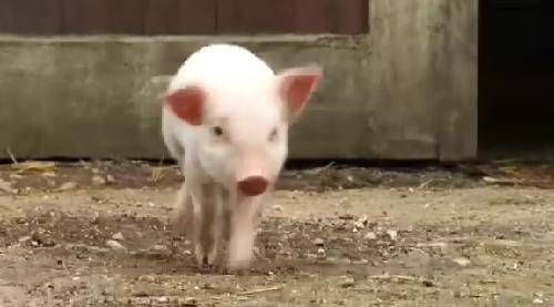 ������漣 �����ۡ��������������