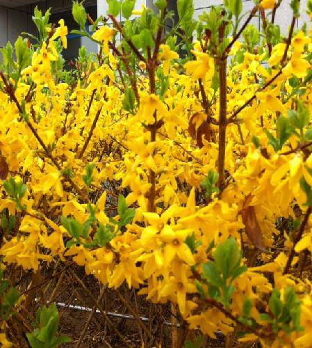 ��ʵĴ�������