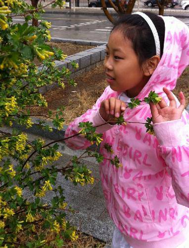 ��ʵĴ�������