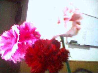 ����ܰ�Ĺ�������