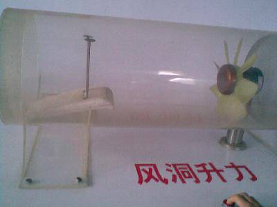 �ιۿƼ�������