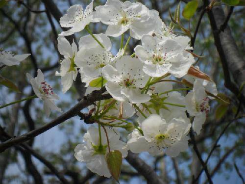 �滨������