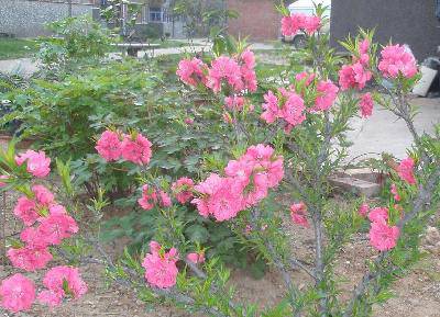 ��������������