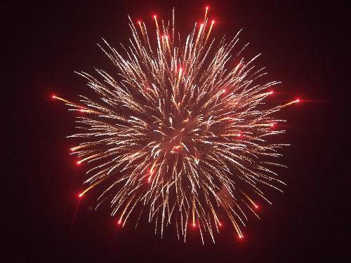 ���ֵ�Ԫ��������