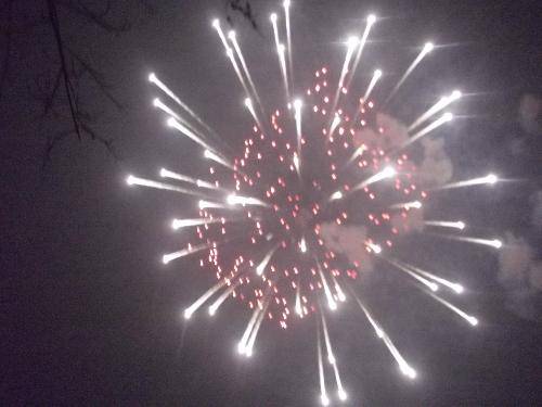 ���ֵ�Ԫ��������