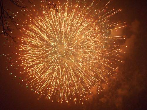 ���ֵ�Ԫ��������