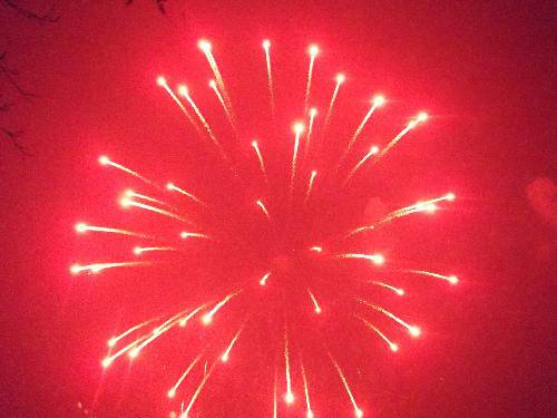 ���ֵ�Ԫ��������