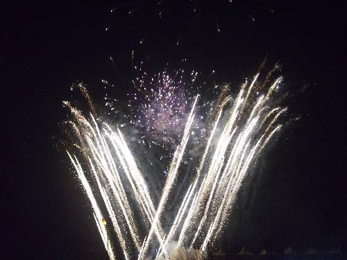 ���ֵ�Ԫ��������