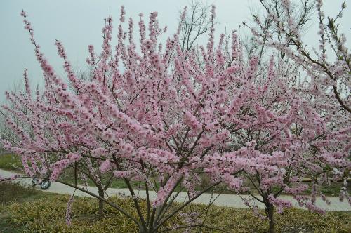 ��������һ���һ�����