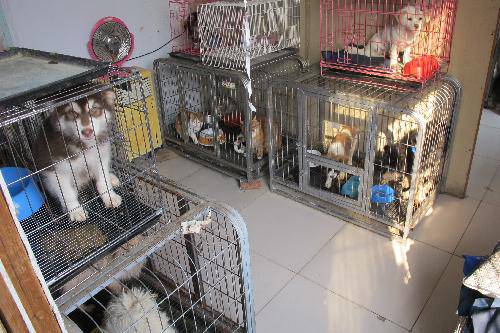 ֣�����˹����鱨������