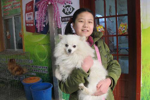 ֣�����˹����鱨������