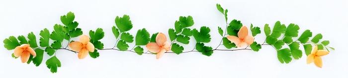 ����˿������