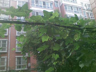 ����˿������