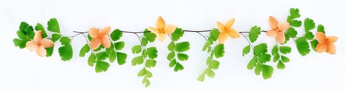 ����˿������