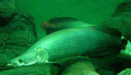 �������PK��һ������