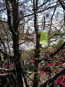 ���������ˣ�����