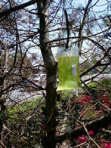 ���������ˣ�����