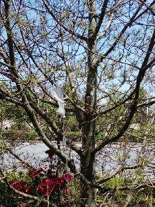 ���������ˣ�����