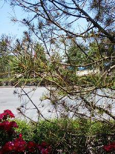 ���������ˣ�����