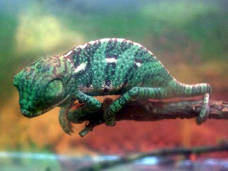 ��Ҫ���Լ���ԩ����