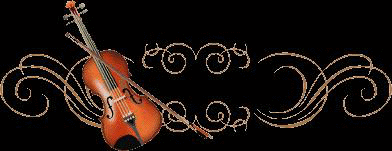 [�ö�]�����Ǻ�����������