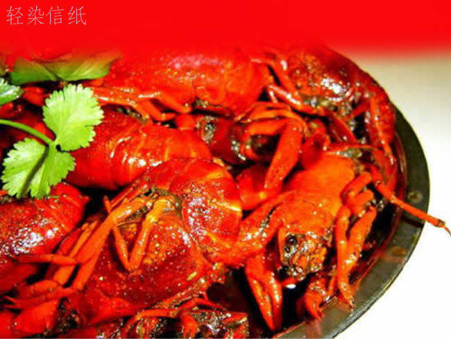 ����С��Ϻ����