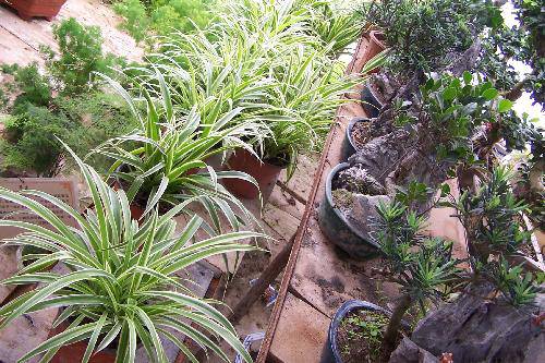 �������С��������