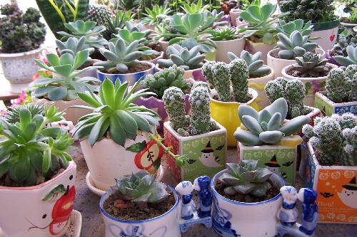 �������С��������