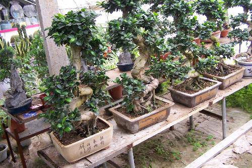 �������С��������