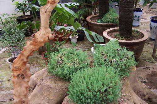 �������С��������