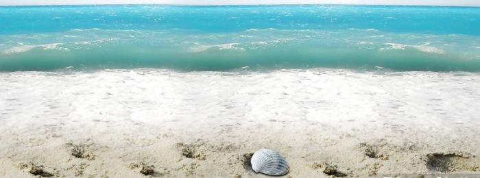 ңԶ�İ�������