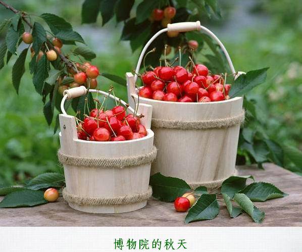 ����Ժ�����죨����Ƭ������